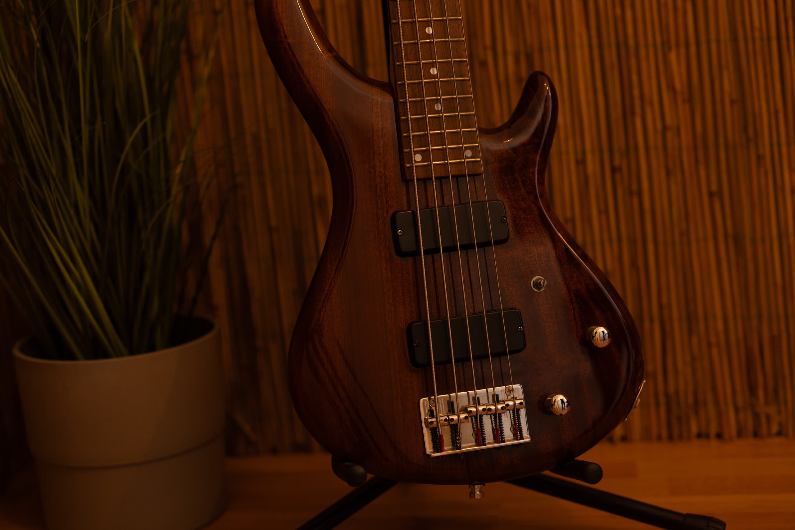 Bass