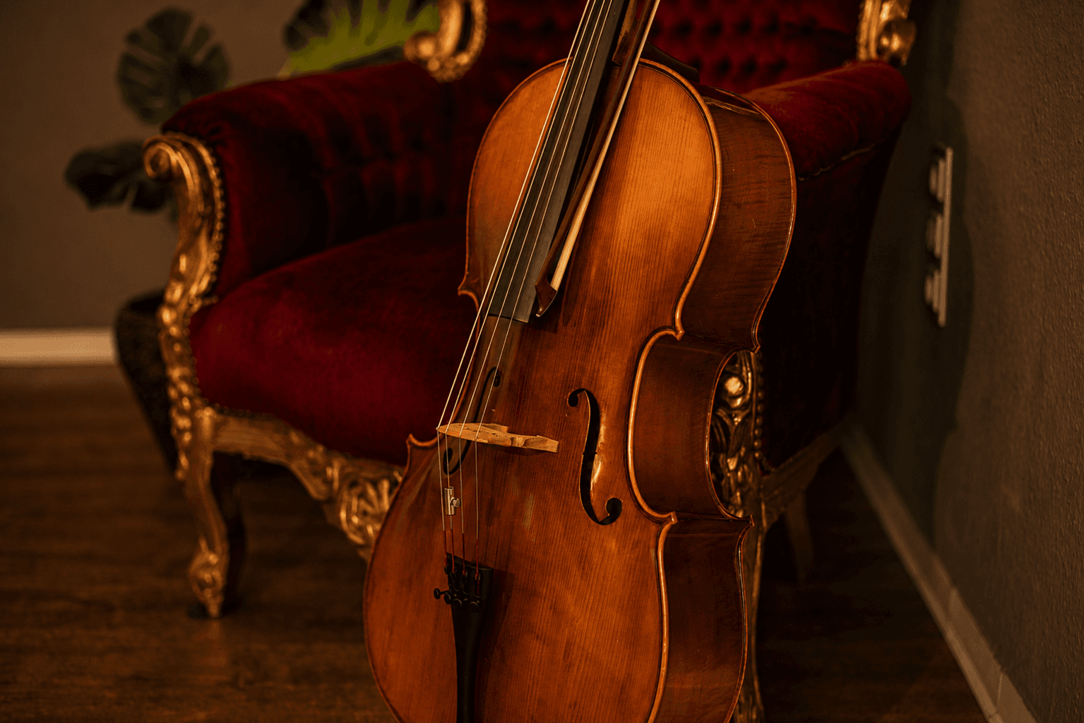 Cello
