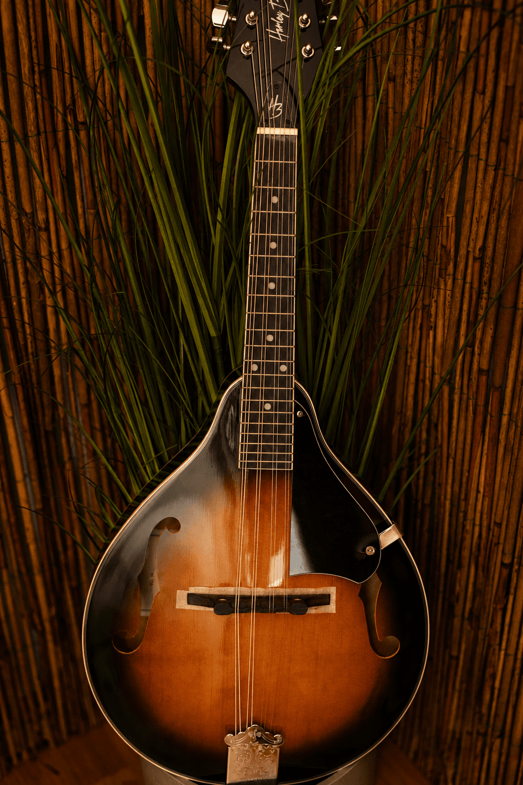 Mandoline
